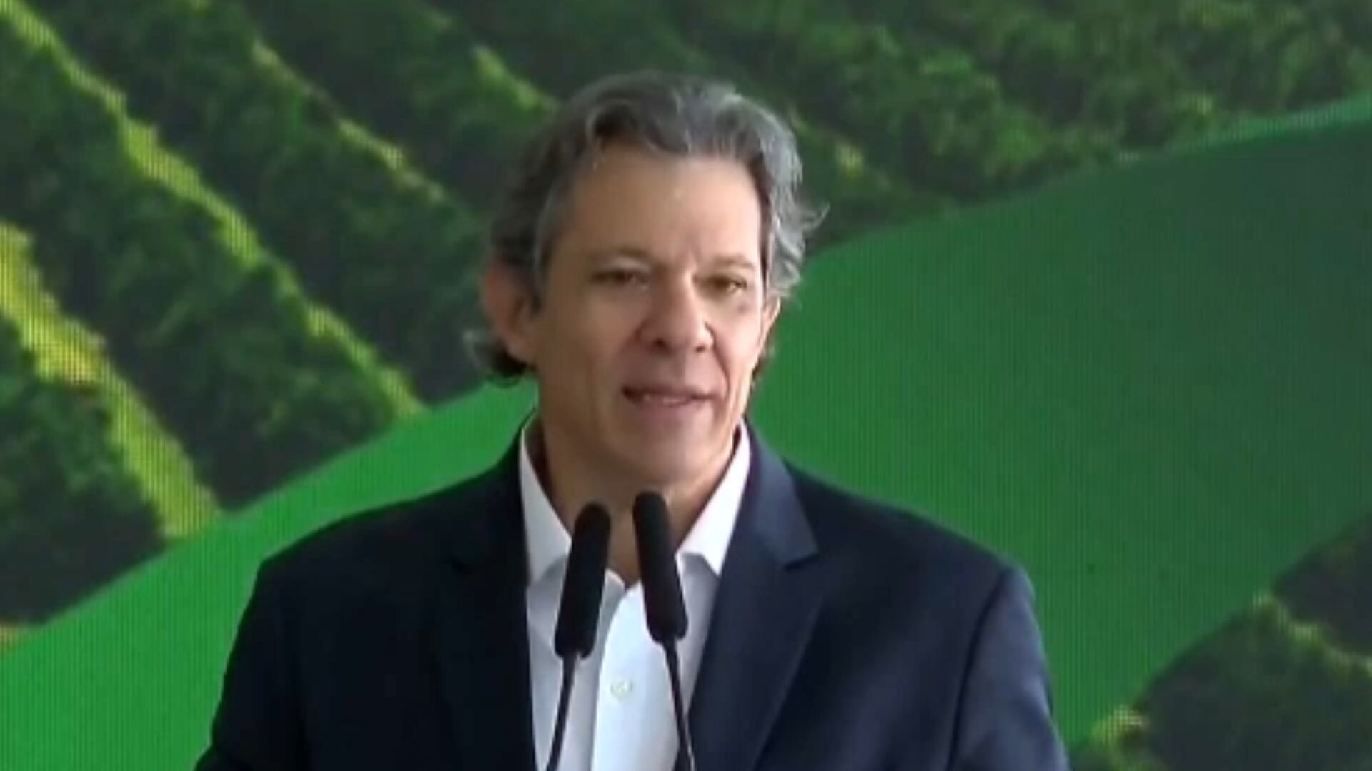 Tarifaço: especialista explica como vai funcionar o socorro do governo a pequenos produtores
