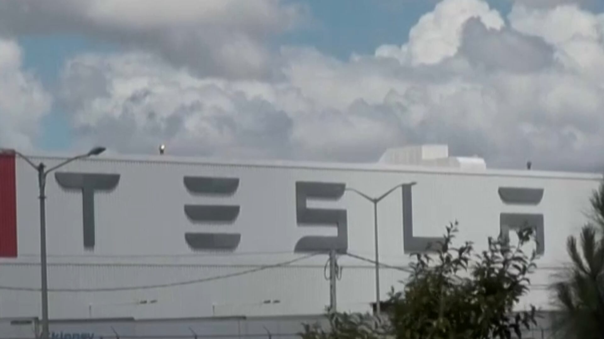Vendas da Tesla despencam 60% em julho no Reino Unido enquanto BYD ganha mercado