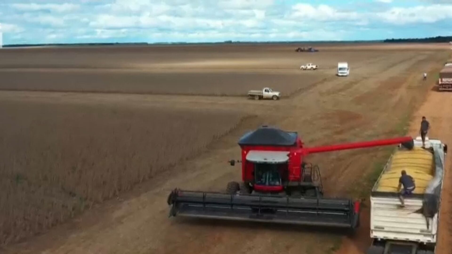 Sebrae e Ministério da Agricultura anunciam acordo para ampliar produtividade de pequenos negócios