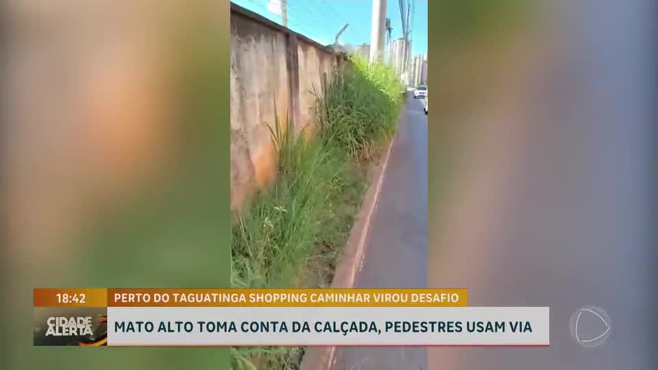 Mato alto e sujeira impedem pedestres de usar calçadas em Taguatinga (DF)