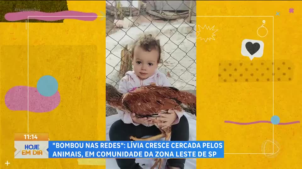 Bombou nas Redes: Menina de 2 anos viraliza ao interagir com animais de fazenda na capital paulista