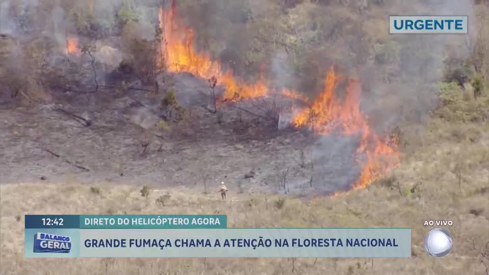 Incêndio controlado na Floresta Nacional de Brasília controla matéria orgânica