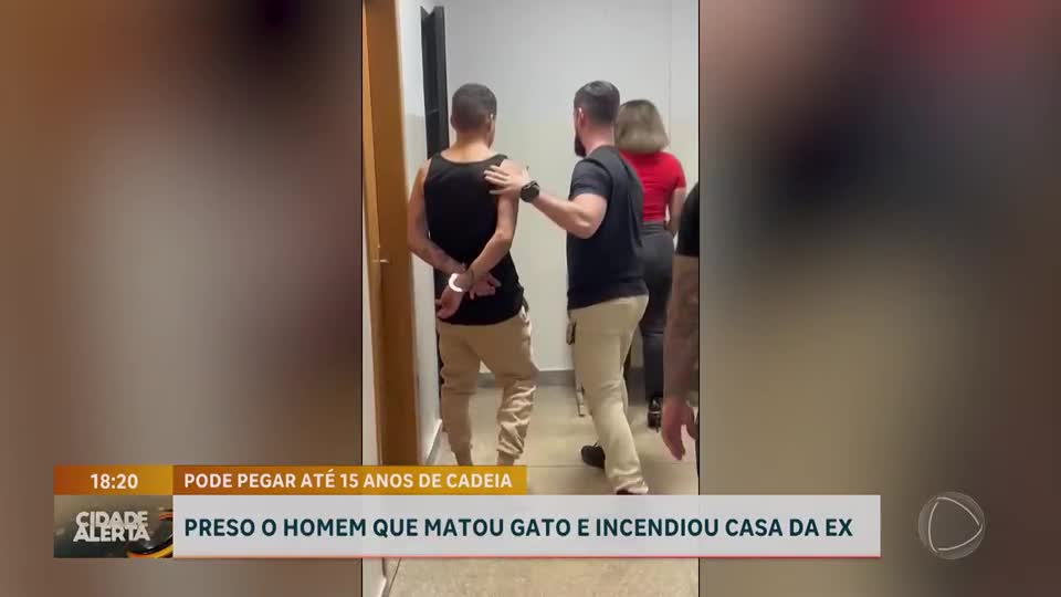 Homem é preso por incendiar a casa e matar o gato da ex-companheira após fim de relacionamento
