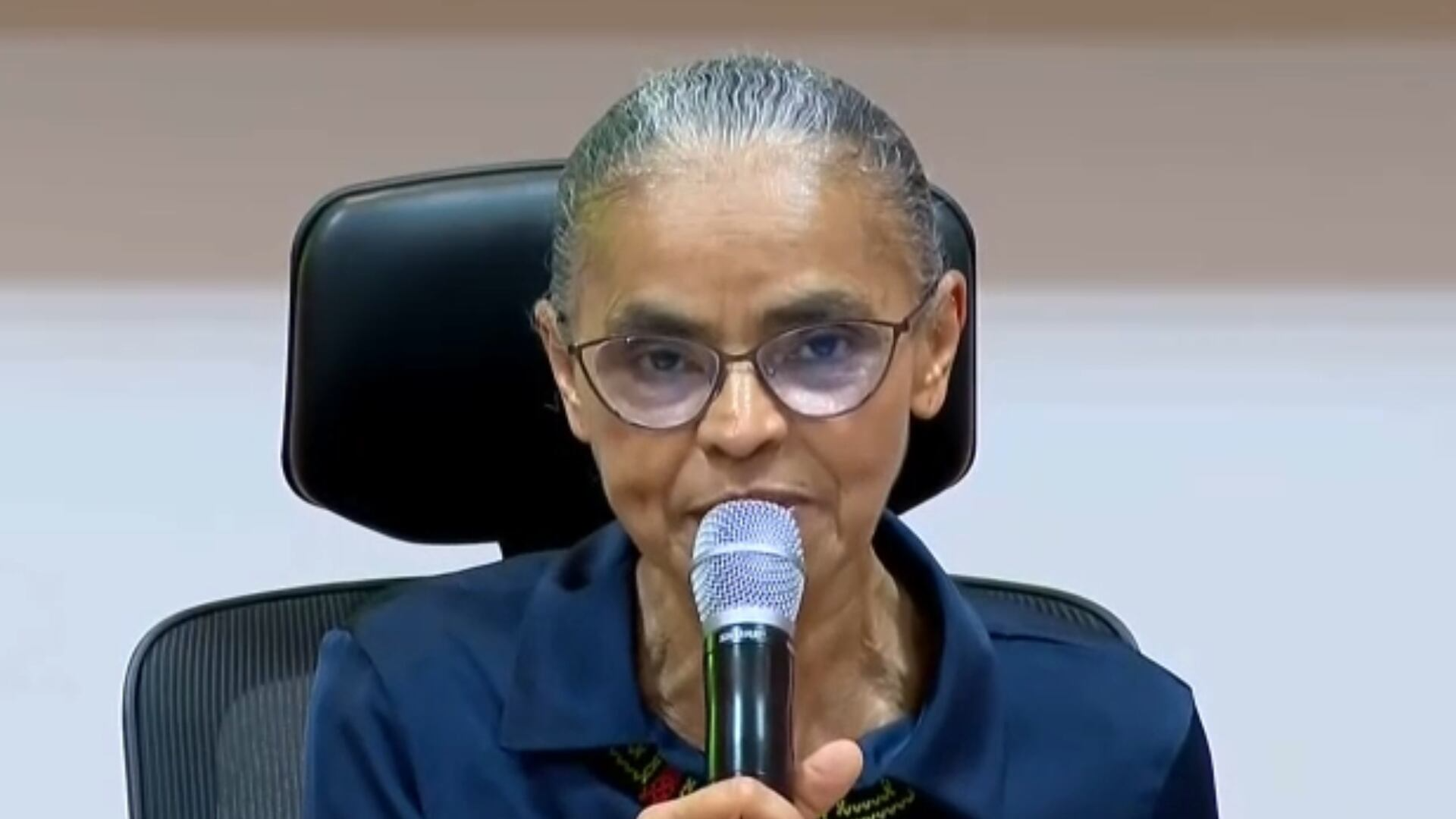 Marina Silva: 'Desmatamento na Amazônia está estabilizado'