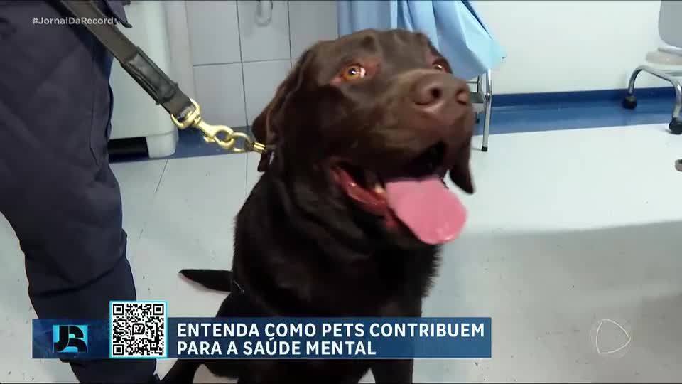 Cães da Guarda Civil de SP levam alegria e leveza a pacientes em tratamento contra o câncer
