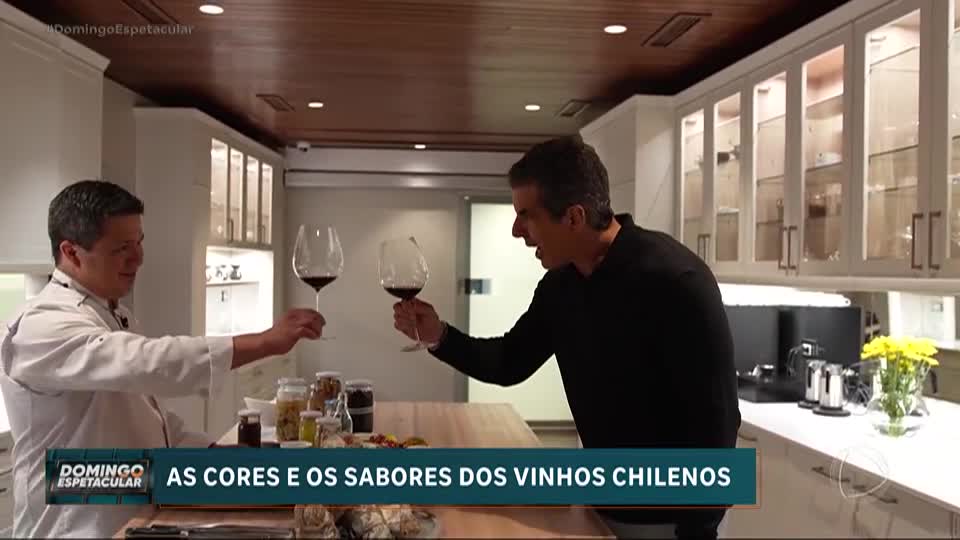 As cores e os sabores dos vinhos chilenos