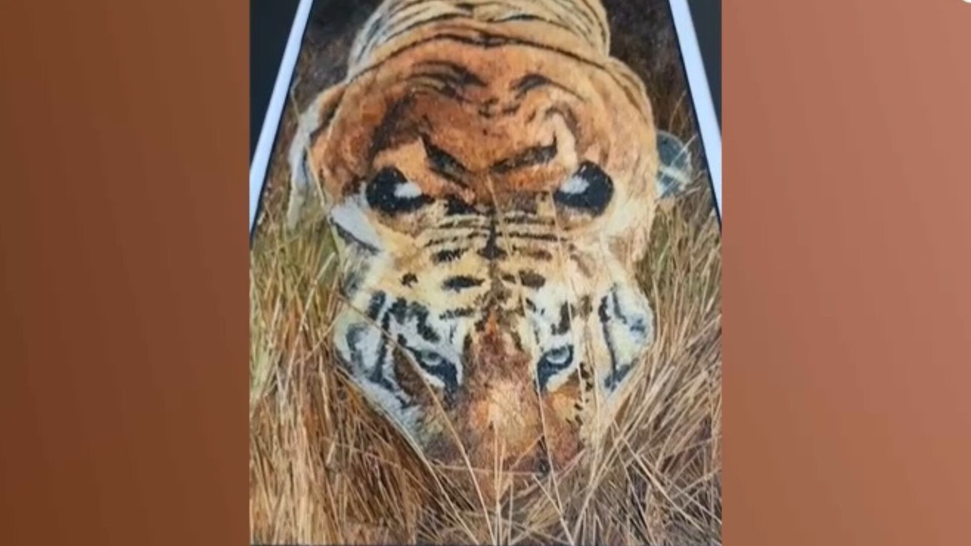 Artista mexicano impressiona ao usar cerdas de vassoura para criar obras de arte