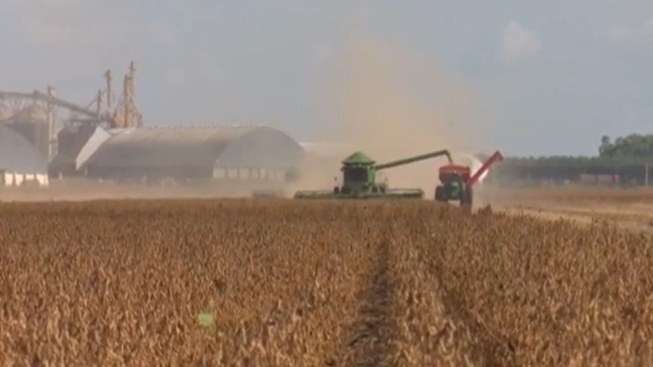 'Margem de manobra é muito restrita', diz especialista sobre possível ajuda do governo ao agro