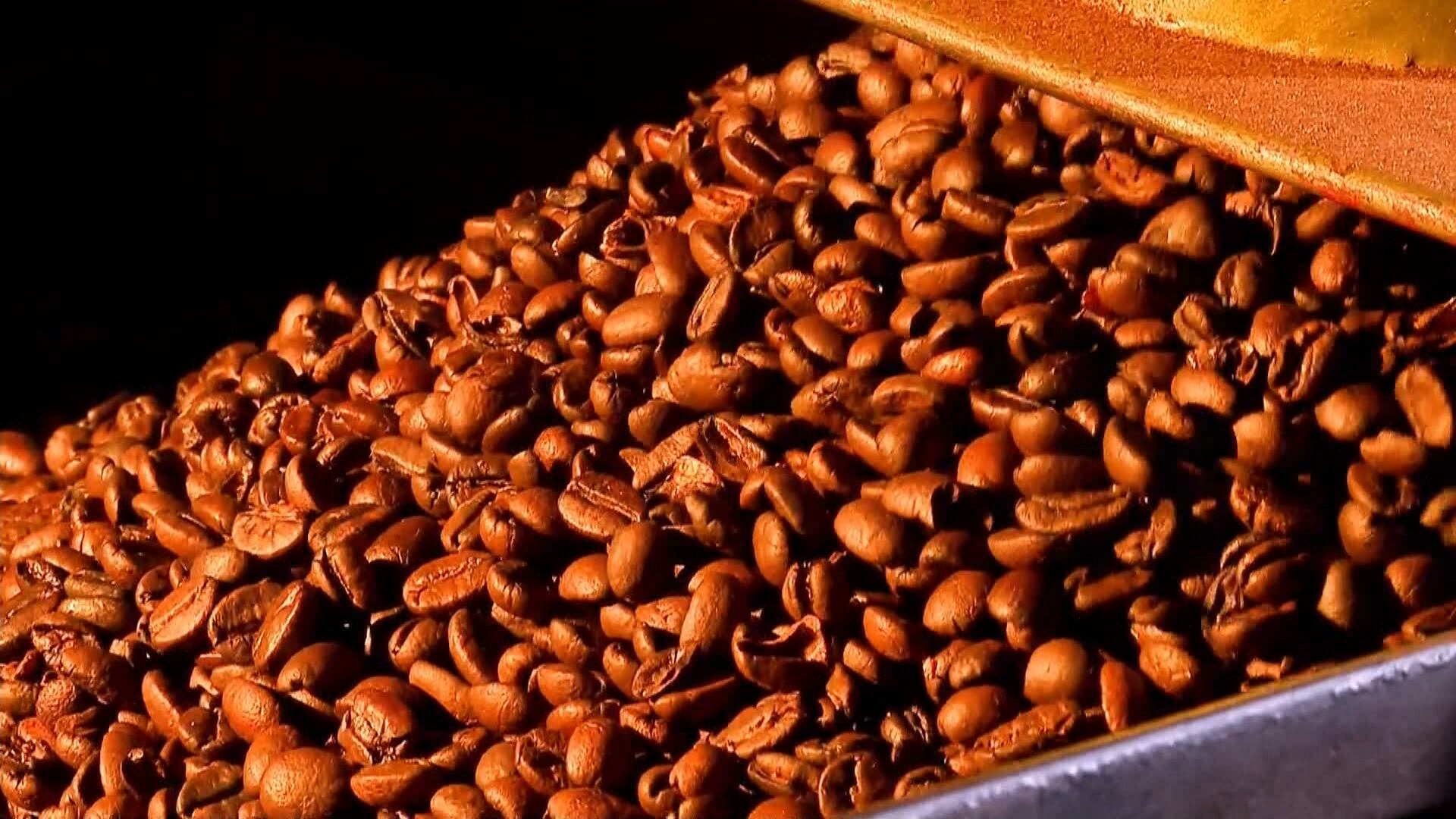 Café brasileiro não pode ser substituído; entenda análise do diretor da Abics