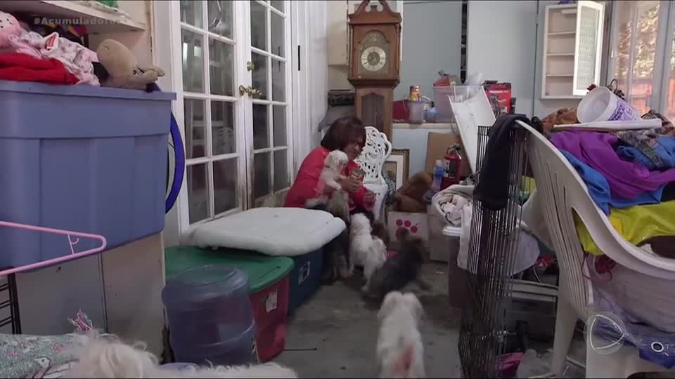 Acumuladores: casa com excesso de animais gera preocupação entre familiares