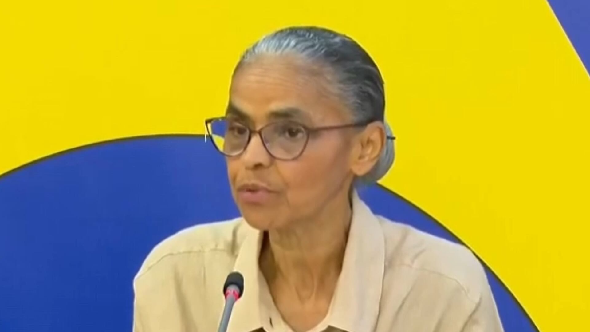 Marina Silva fala sobre PL do Licenciamento Ambiental: 'Que economia não brigue com ecologia'; veja