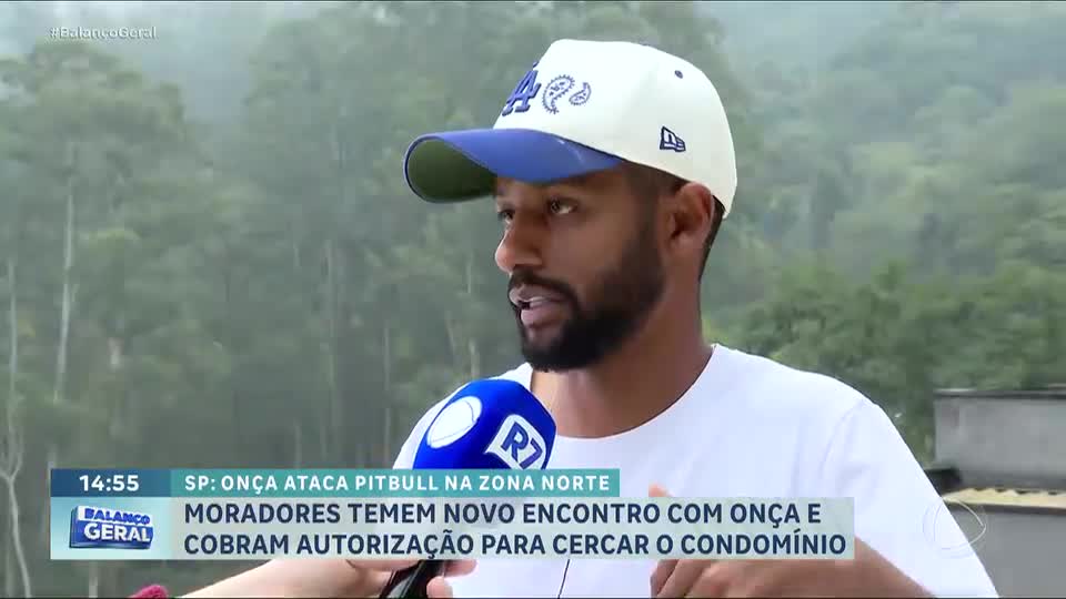 Pitbull protege família de ataque de onça dentro da própria casa em São Paulo