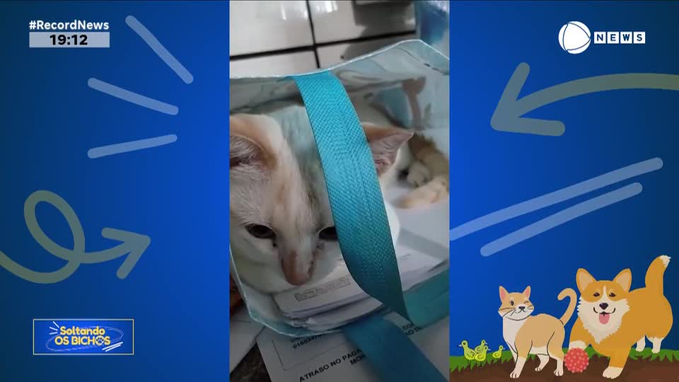 Assista ao 'Soltando os Bichos' deste domingo (9) na íntegra