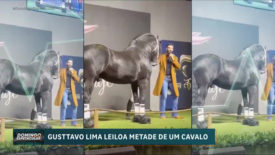 Giro dos Famosos: Gusttavo Lima leiloa metade de um cavalo