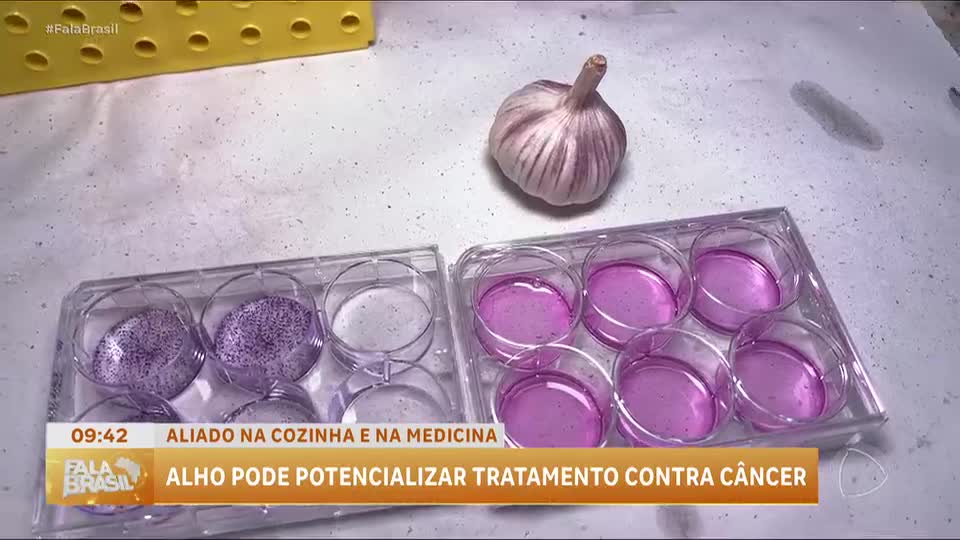 Boa Notícia: Pesquisadores da USP revelam potencial do alho contra câncer colorretal