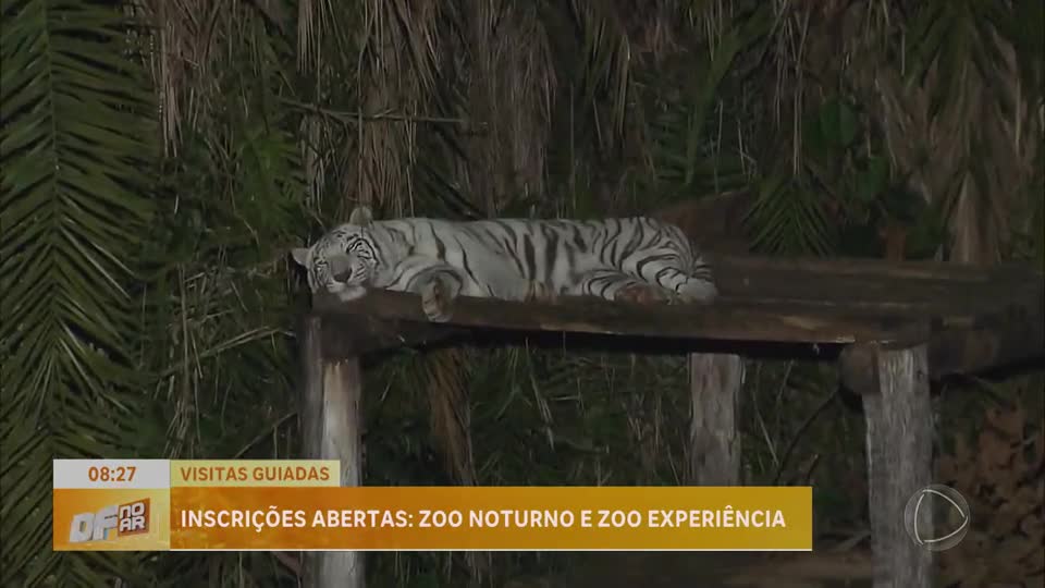 Zoológico de Brasília abre inscrições para visitas noturnas e experiência com cuidadores