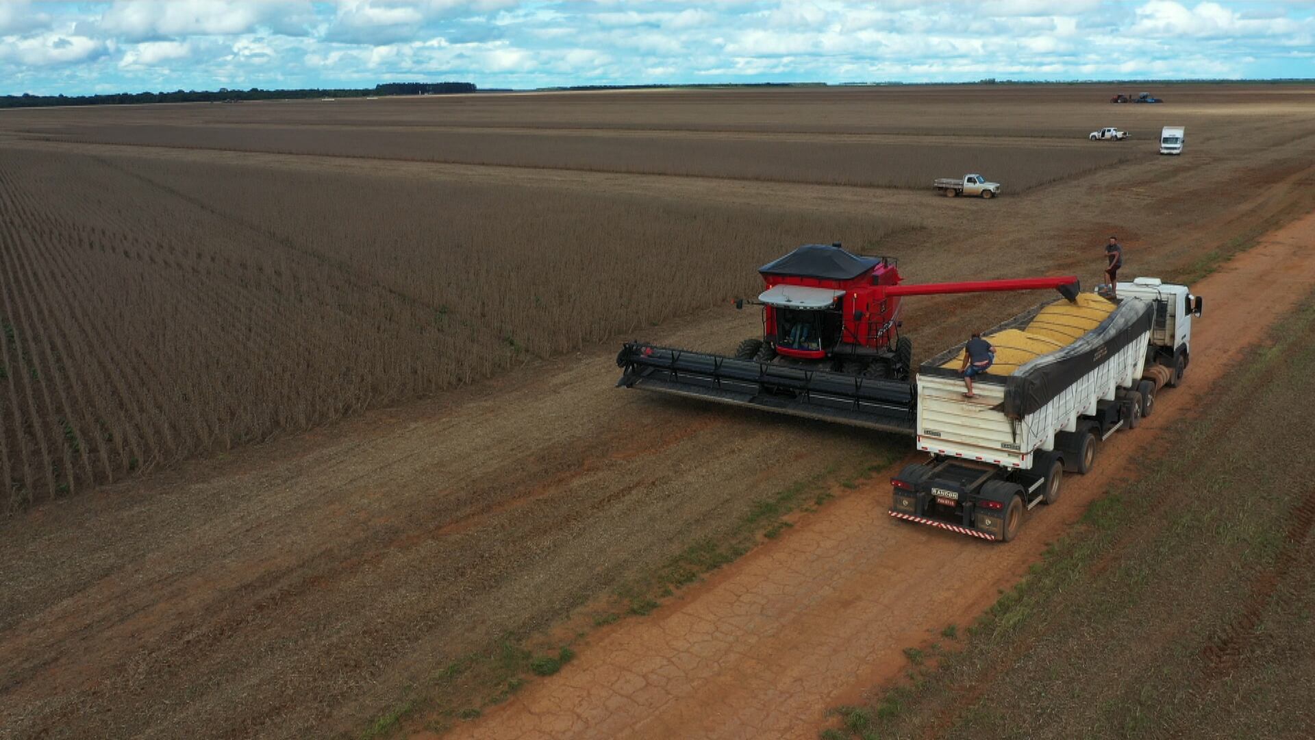 Entenda alguns dos desafios atuais do agronegócio