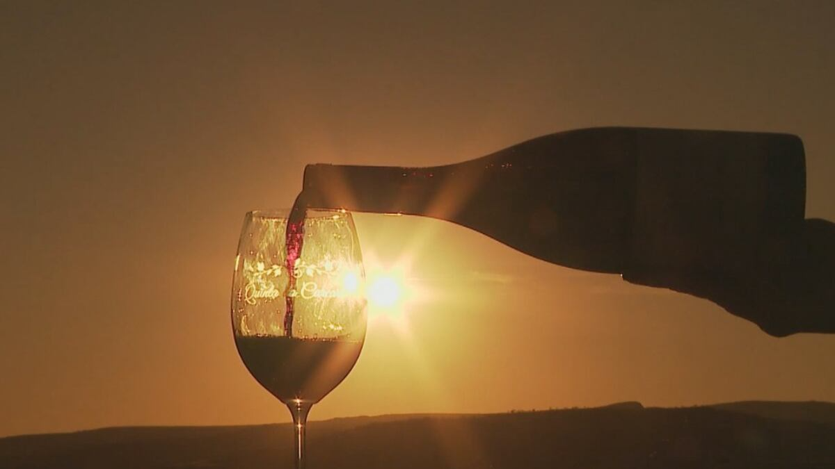 Vinhos das Montanhas de Minas: conheça técnicas inovadoras de vinícola premiada em Capitólio (MG)