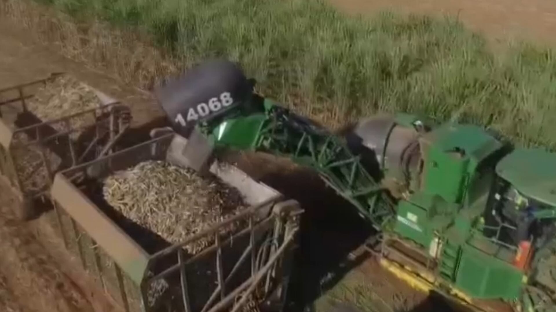 Preços do açúcar e etanol seguem estáveis no mercado spot paulista, segundo Cepea