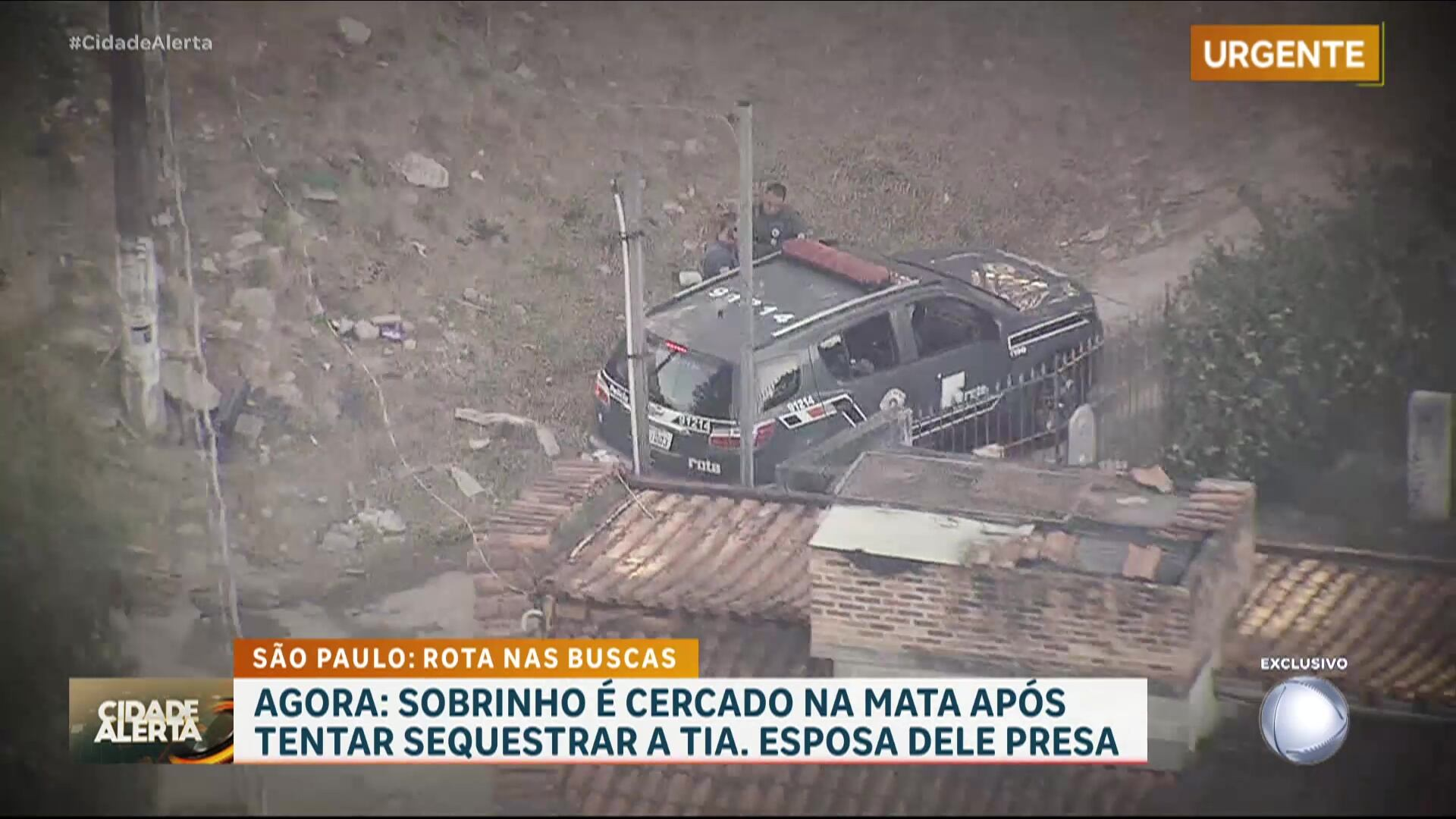 Sobrinho e esposa tentam sequestrar a tia para extorquir dinheiro dela na Grande São Paulo