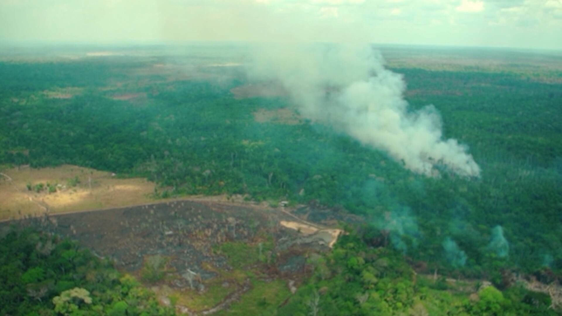O que o Brasil deve fazer depois de 'perder uma Bolívia' em áreas naturais em 40 anos?