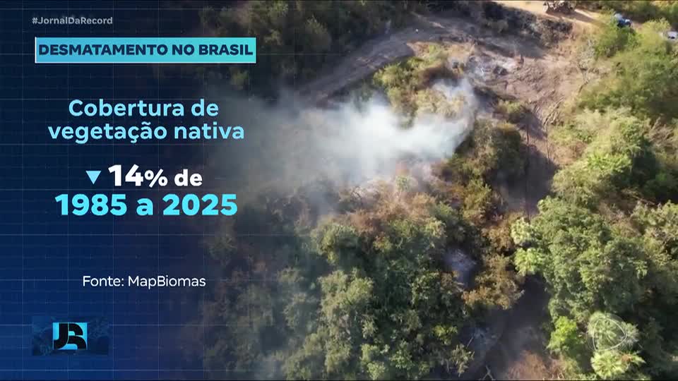 Brasil vem perdendo vegetação ao longo dos últimos 40 anos, segundo estudo da Mapbiomas