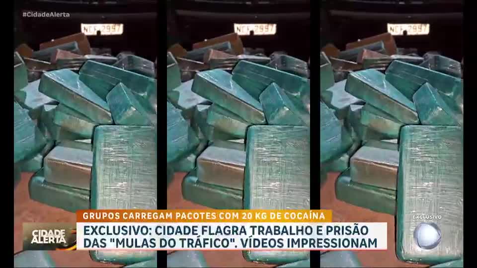 Fronteira em Alerta: 'Mulas do tráfico' caminham quilômetros pela mata carregando drogas