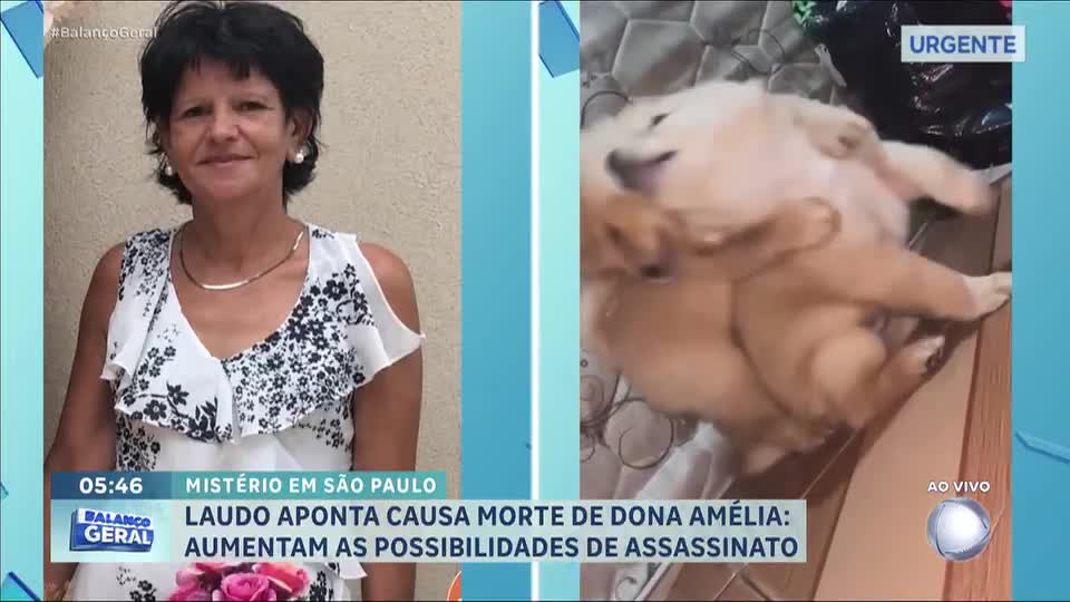 Laudo do IML aponta que idosa morreu por hemorragia externa aguda provocada por objeto cortante