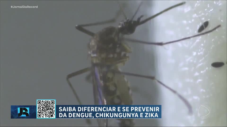 BA: casos de chikungunya quadruplicam e ultrapassam oito mil notificações