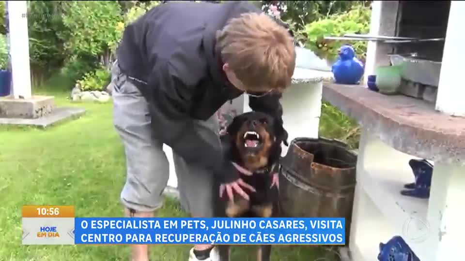 Julinho Casares visita centro para recuperação de cães agressivos
