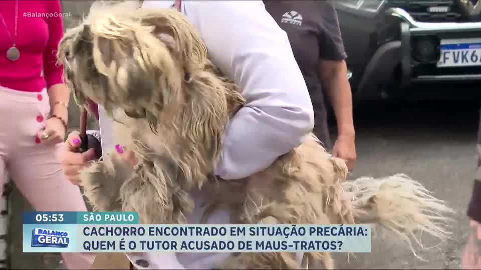 Cachorro e pássaro são resgatados de condições insalubres na zona leste de SP
