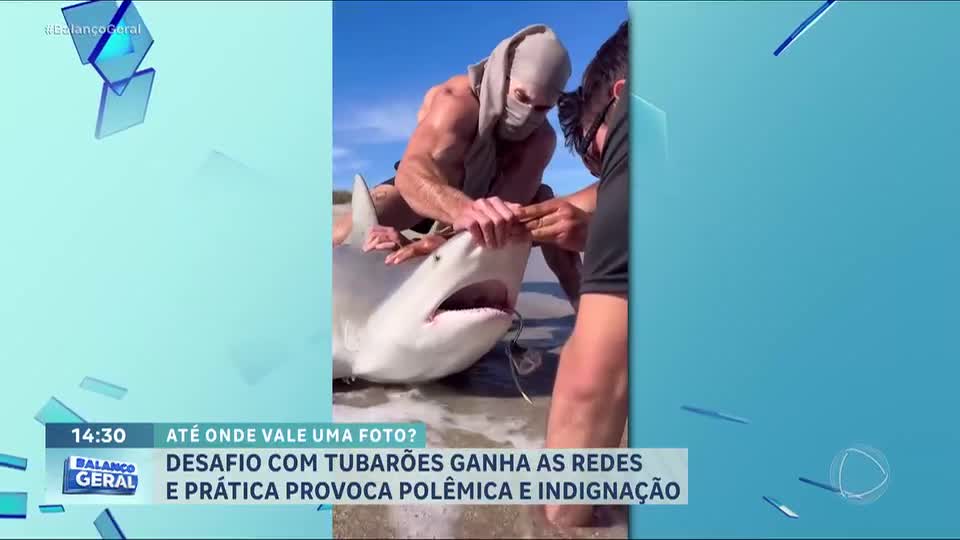Polêmica: pescadores dos EUA arrastam tubarões até a praia para fazer fotos e vídeos para as redes