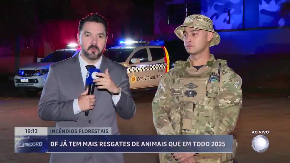 Incêndios florestais fazem DF superar número de resgates de animais de todo o ano de 2025
