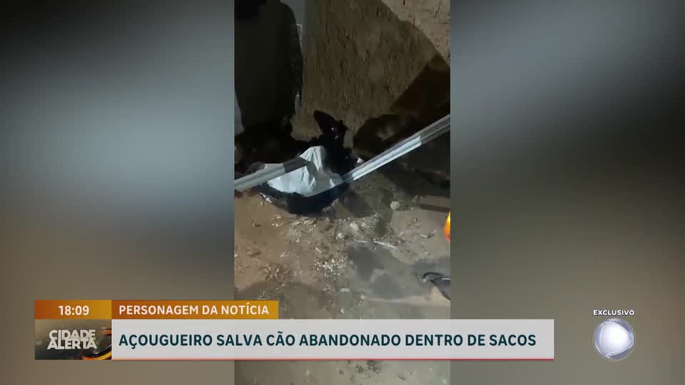 Açougueiro conta como salvou cão abandonado dentro de sacos