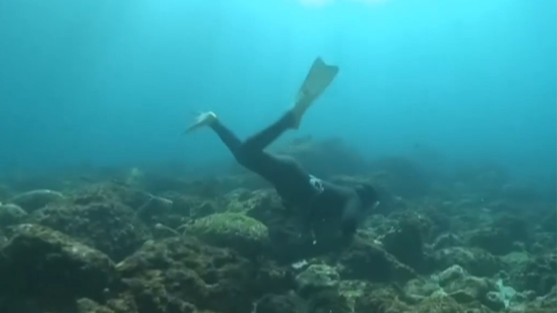 Conheça as ‘mulheres do mar’, que passam até cinco horas diárias submersas sem uso de equipamento