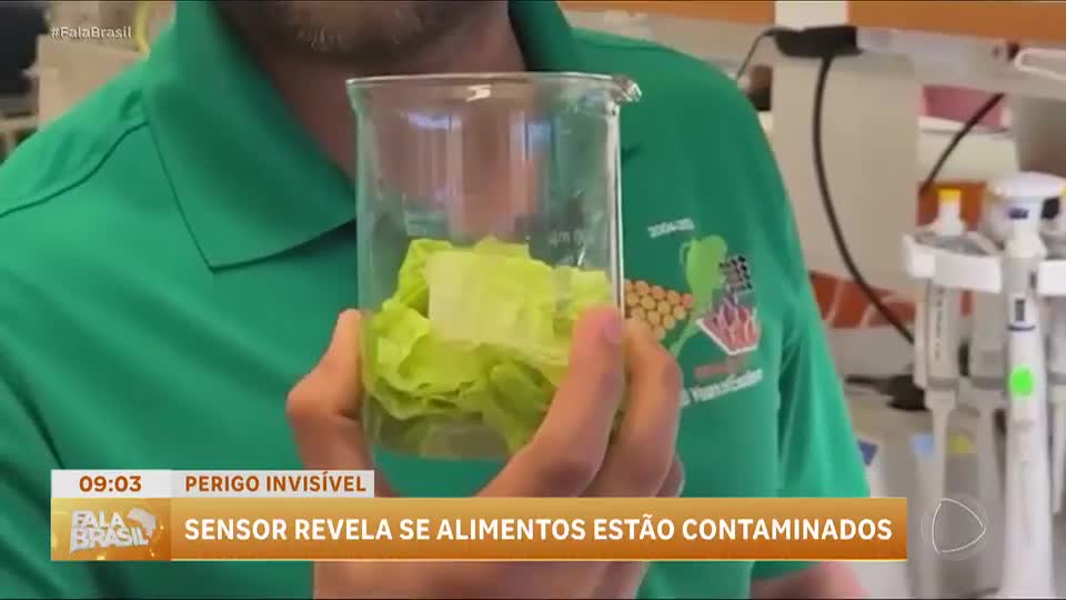 Sensor detecta contaminação alimentar em menos de um minuto