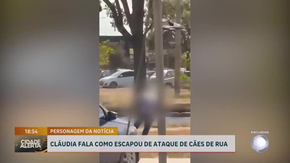 Mulher atacada por cães em Ceilândia (DF) relata como escapou com vida