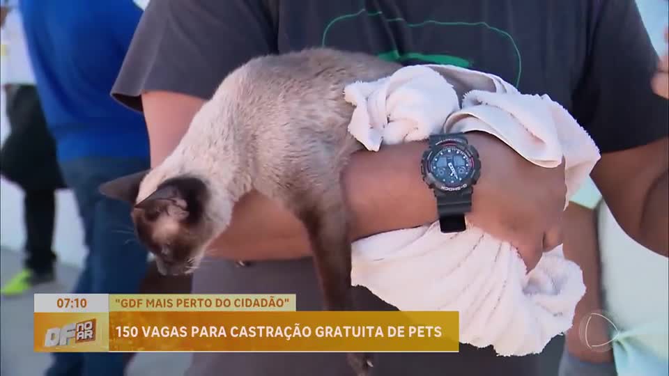 GDF abre 150 vagas gratuitas para castração de pets