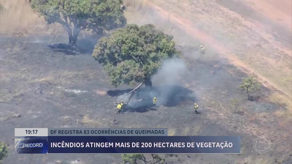 Incêndios atingem mais de 200 hectares de vegetação no DF