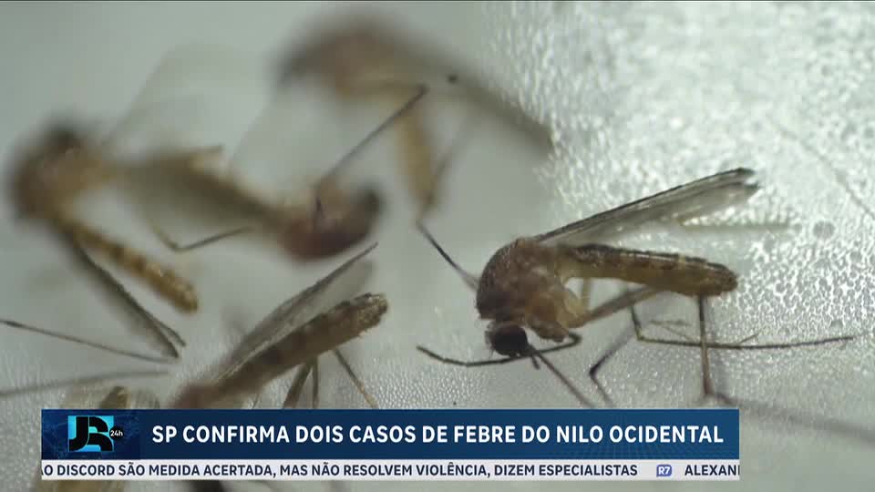 São Paulo confirma primeiros casos de Febre do Nilo Ocidental