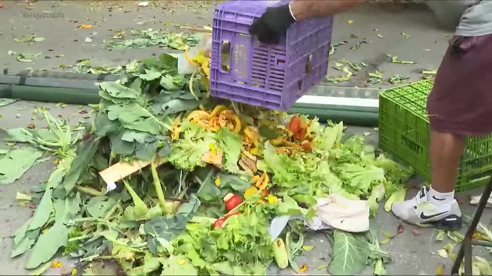 Desperdício de alimentos: veja dicas para evitar perdas e economizar