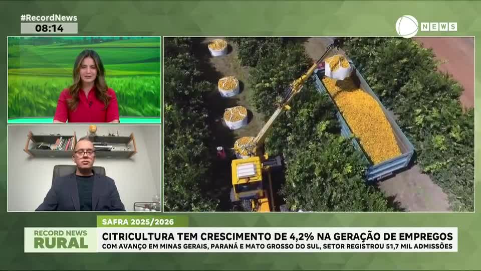 Setor dos citros tem crescimento de 4,2% na geração de empregos