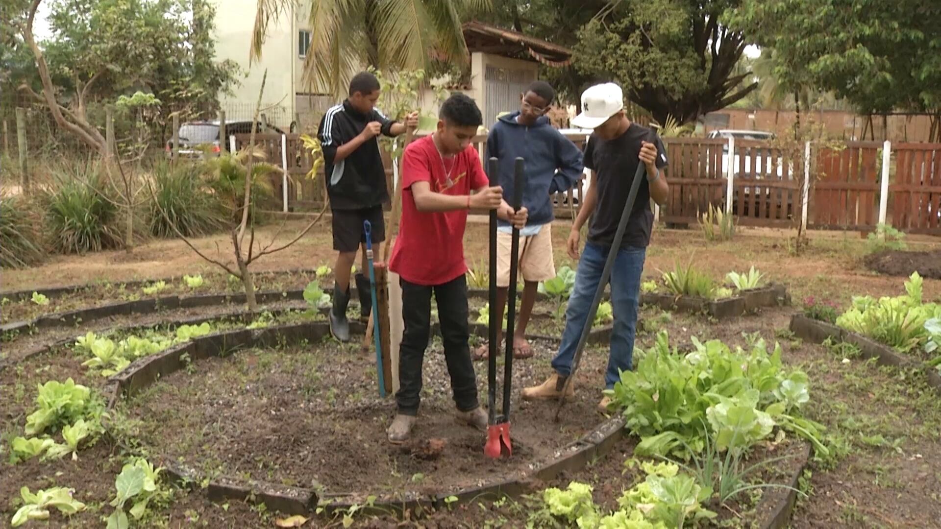 Alunos aprendem a planejar o trabalho rural