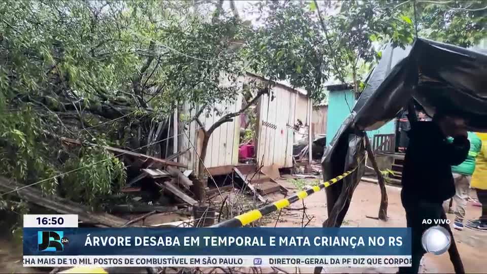 Criança de 8 anos morre após árvore cair sobre casa durante temporal em Porto Alegre (RS)