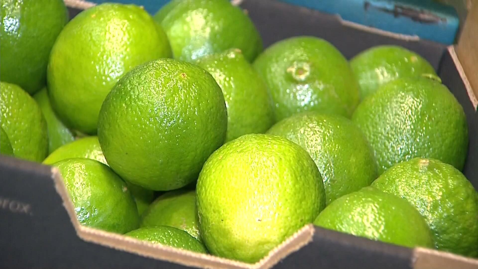 Preços do limão seguem em alta com produtividade abaixo do esperado