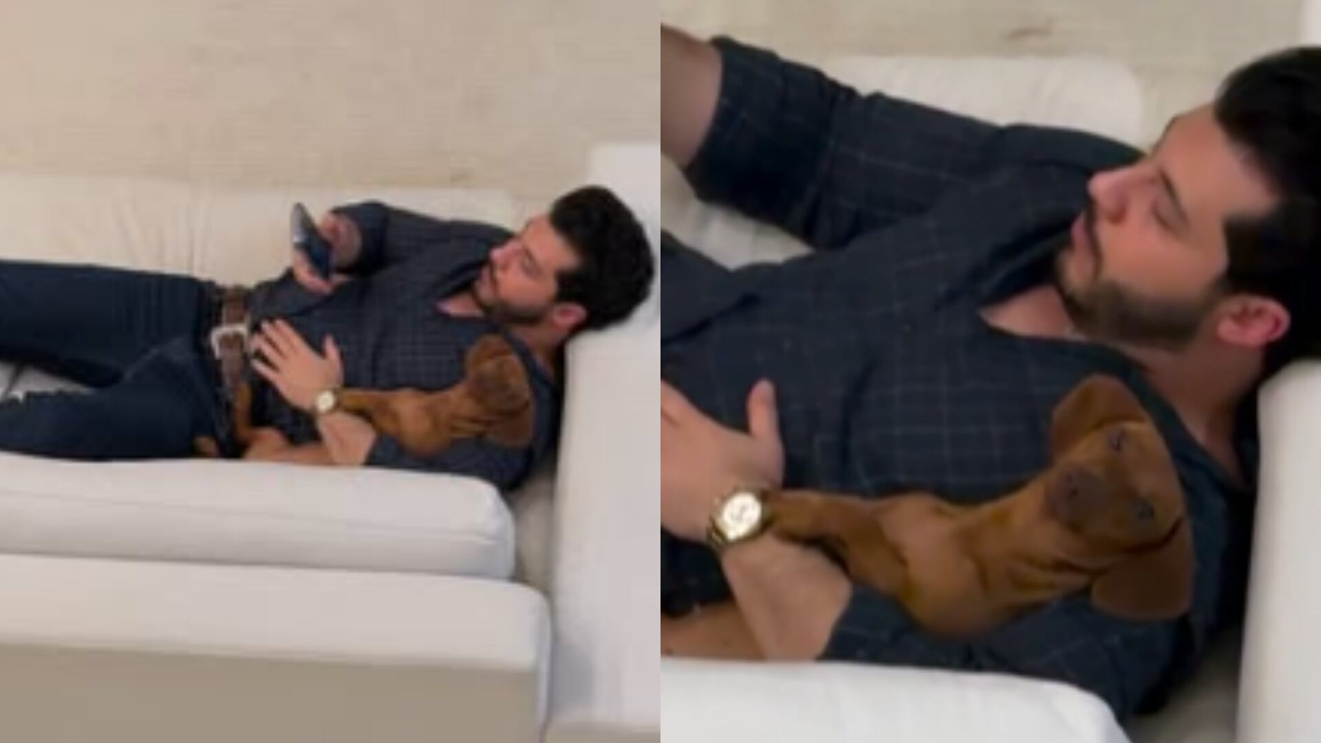 Até o sertanejo cedeu: Murilo Huff vira 'refém' de salsichinha e encanta a web