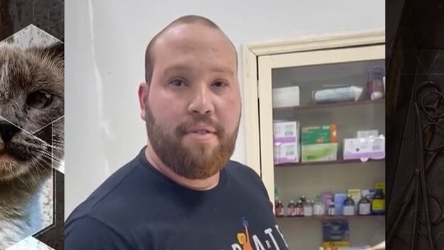 Homem que se passava por veterinário é preso durante cirurgia em clínica clandestina no RJ