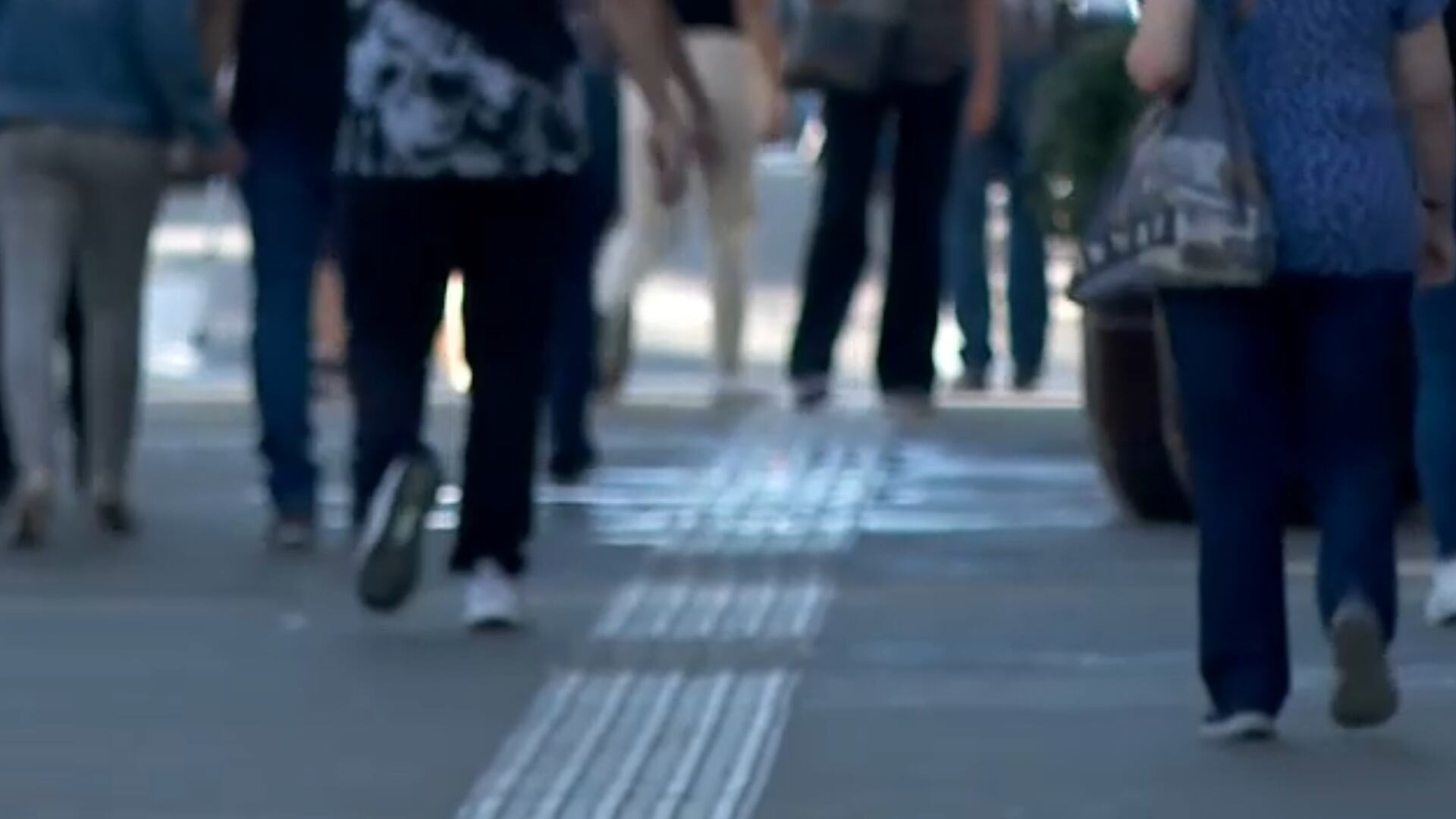 Feira online oferece 7.000 vagas de emprego para pessoas com deficiência