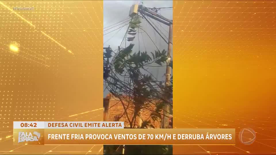 Frente fria causa ventos fortes e quedas de árvores no Rio