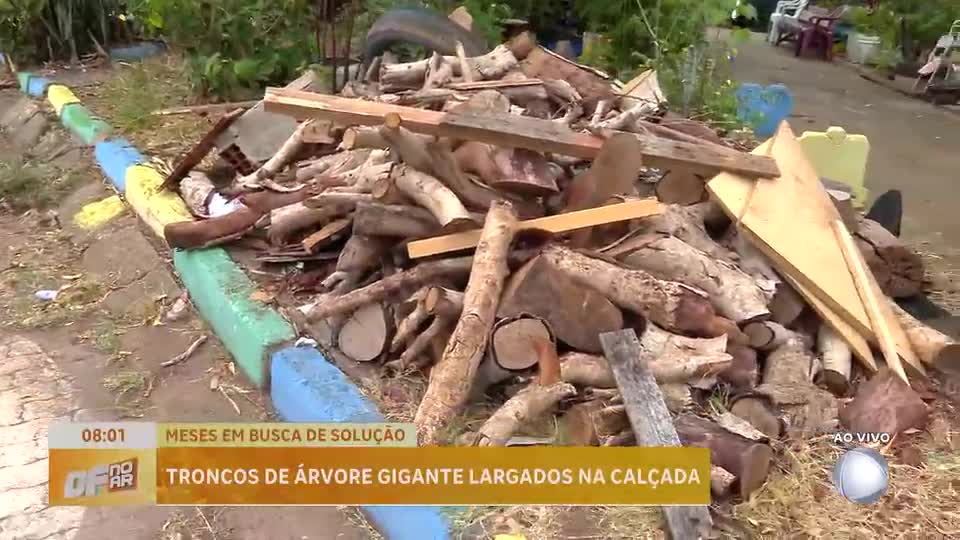 Moradores denunciam troncos abandonados em calçadas de Samambaia (DF)